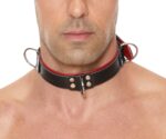 collier deluxe bondage noir rouge