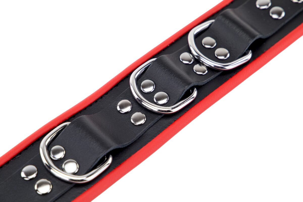 collier en cuir avec 3 anneaux d rouge 7 scaled