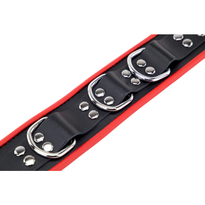 collier en cuir avec 3 anneaux d rouge 7 scaled