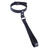 collier en cuir avec laisse courte 1 scaled