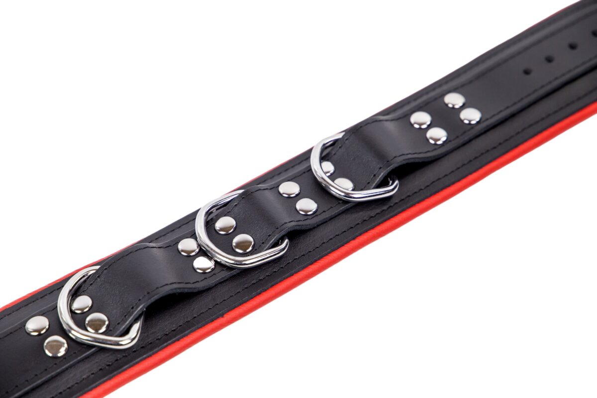 collier en cuir rembourre avec 3 anneaux d rouge 3 scaled