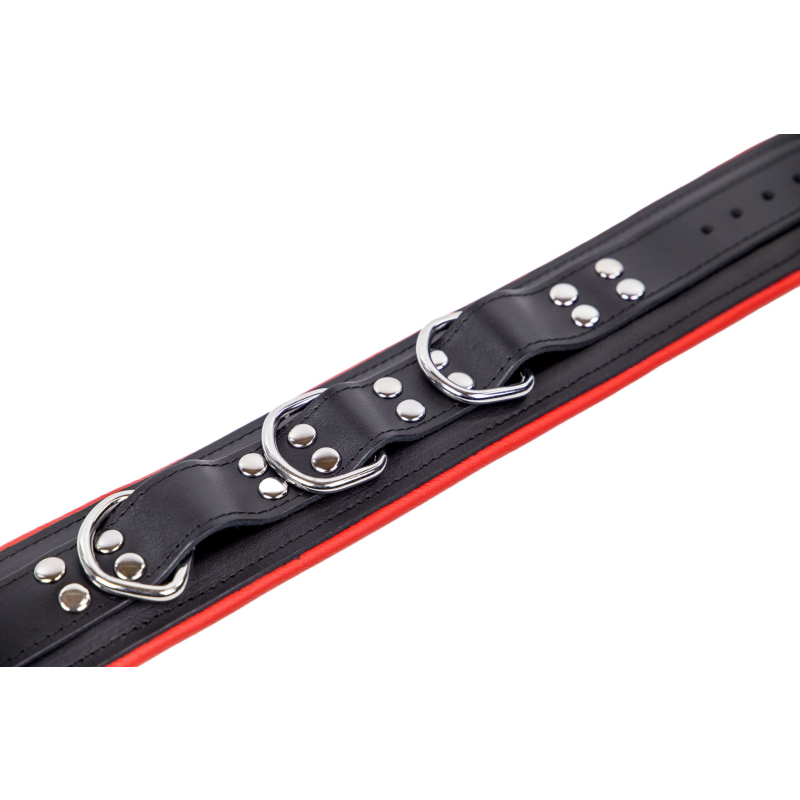 collier en cuir rembourre avec 3 anneaux d rouge 3 scaled