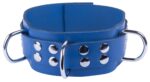 collier en cuir ultra bleu scaled