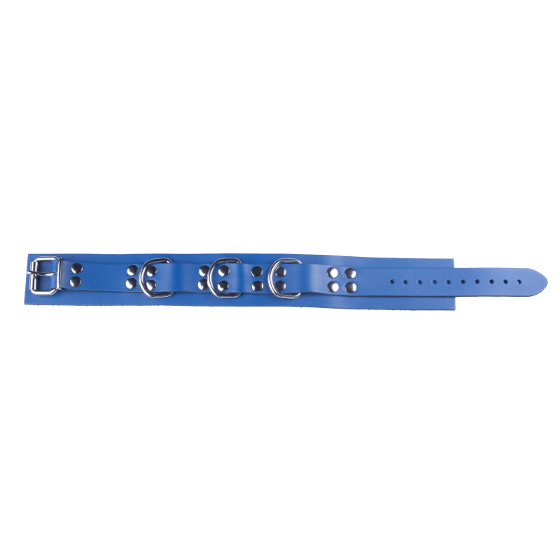 collier en cuir ultra bleu 4 scaled