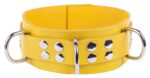 collier en cuir ultra jaune scaled