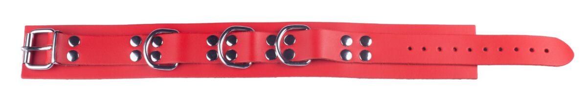 collier en cuir ultra rouge 4 scaled