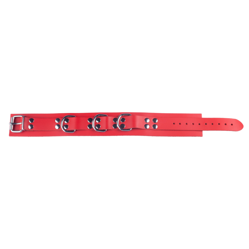 collier en cuir ultra rouge 4 scaled