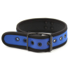 collier en neoprene bleu 1