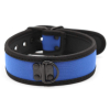 collier en neoprene bleu