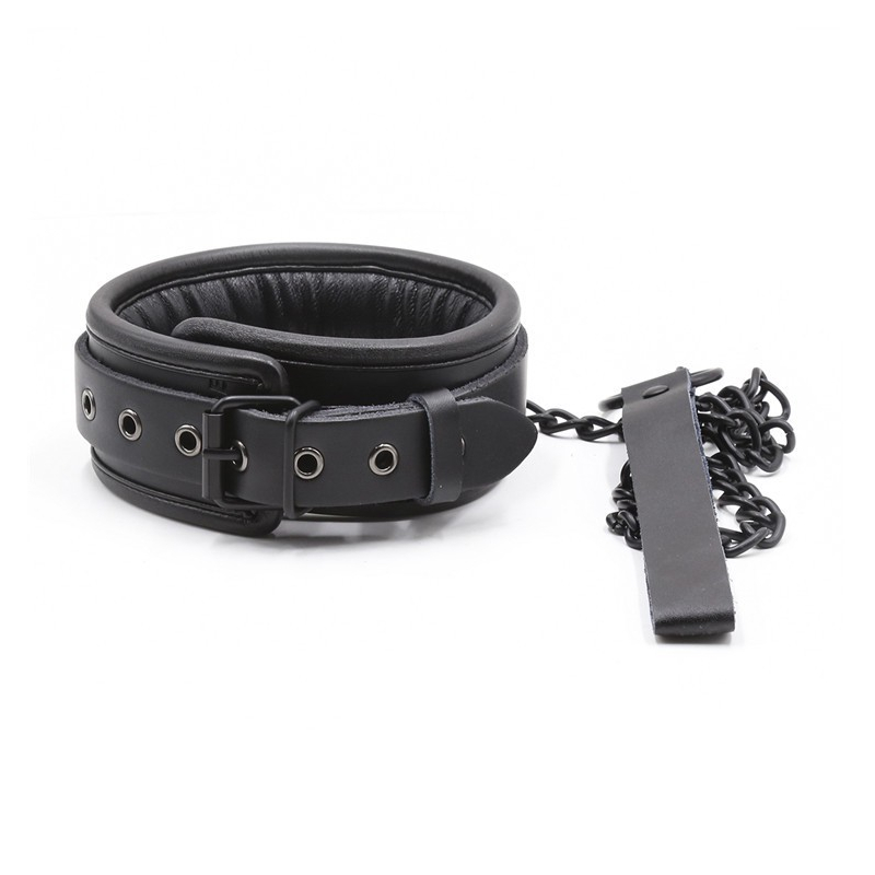 collier epais laisse 1