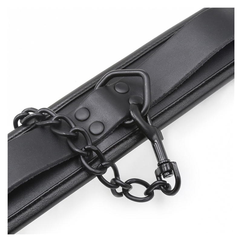 collier epais laisse 2