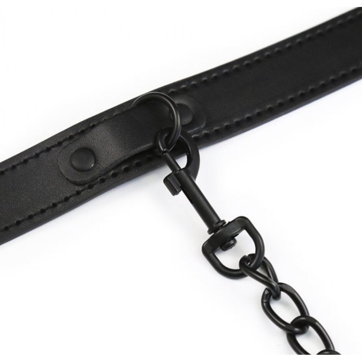 collier et laisse ball top noir 2