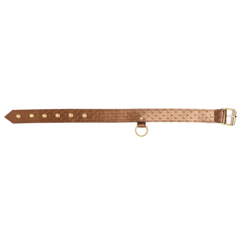 collier et laisse darling pet bronze 1m 3 scaled