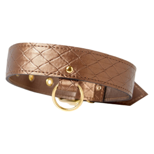 collier et laisse darling pet bronze 1m