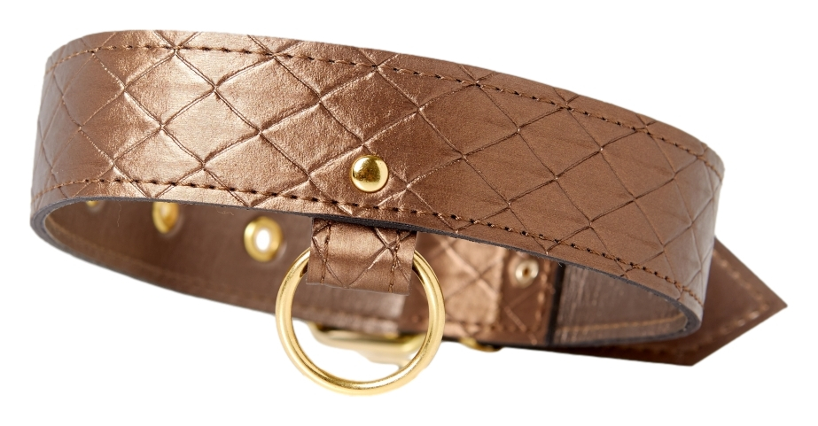 collier et laisse darling pet bronze 1m