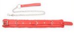 collier et laisse fur sweet rouge 1