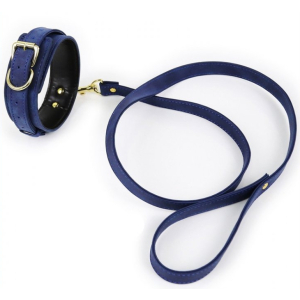 collier et laisse lighty bleu