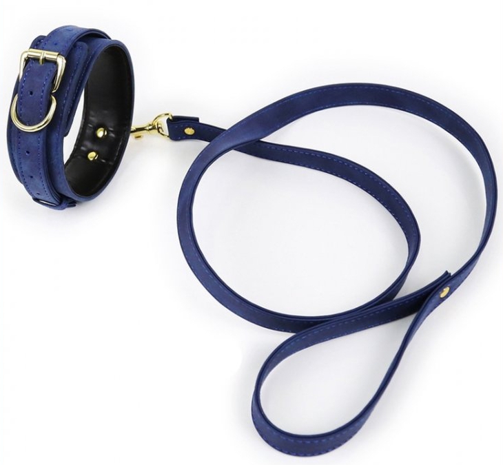 collier et laisse lighty bleu