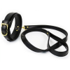 collier et laisse lighty noir