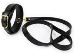 collier et laisse lighty noir
