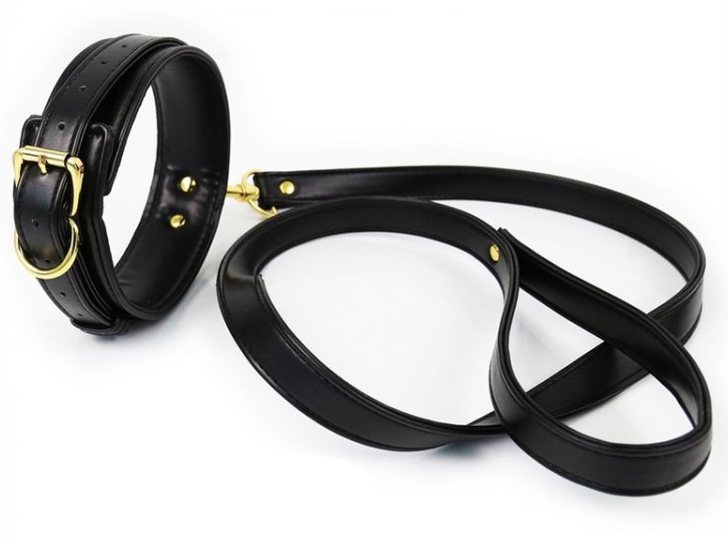 collier et laisse lighty noir