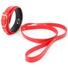 collier et laisse lighty rouge