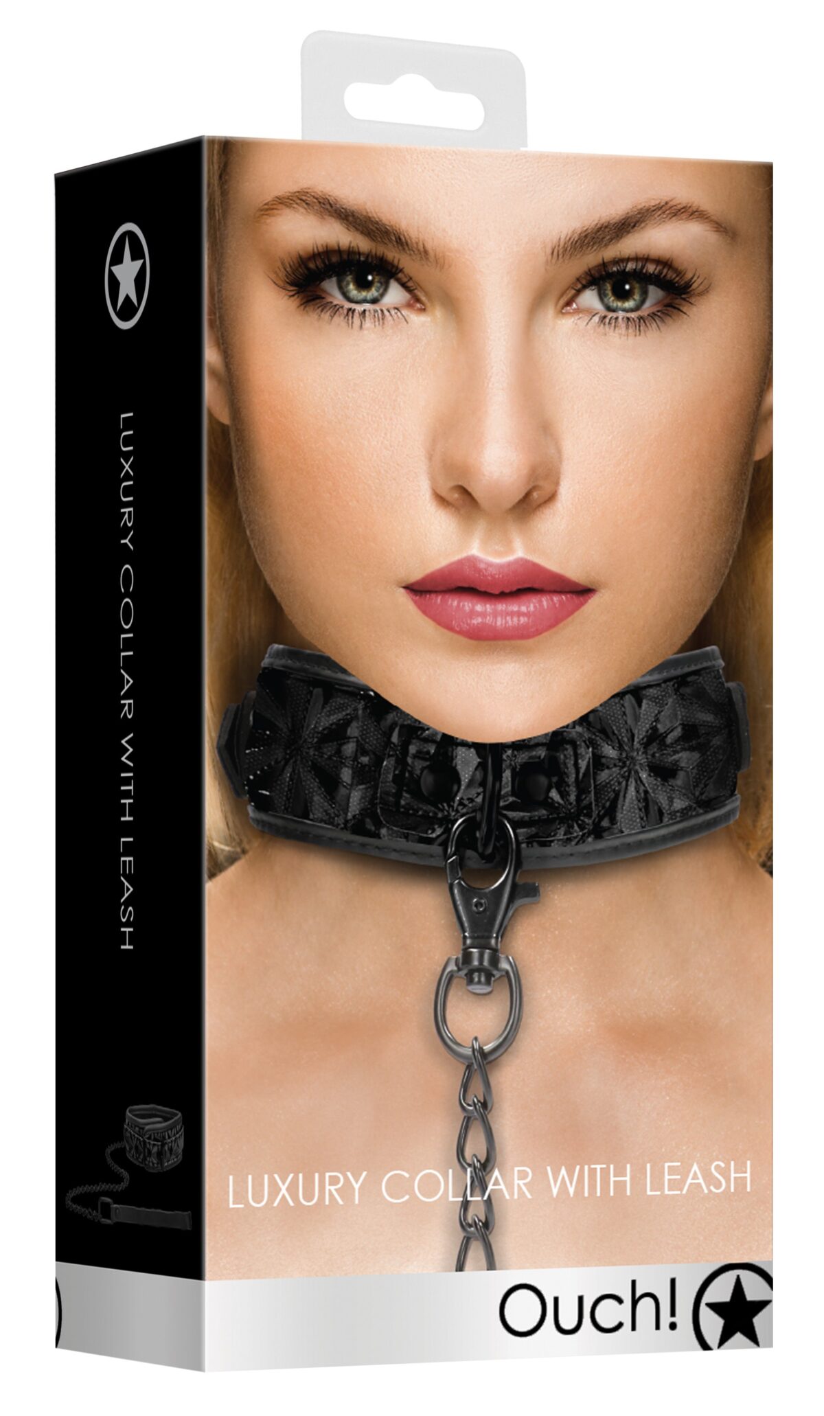 collier et laisse luxury noir 1 scaled