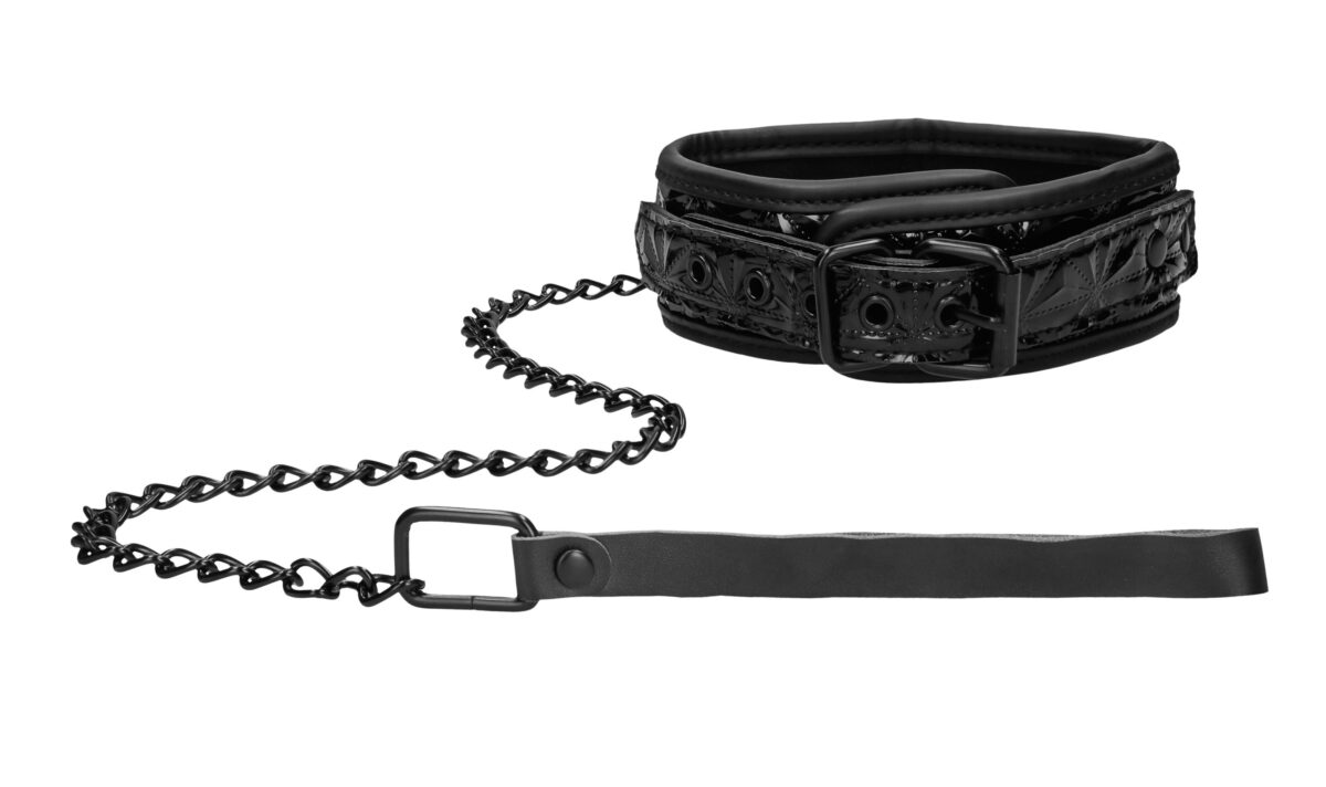 collier et laisse luxury noir scaled