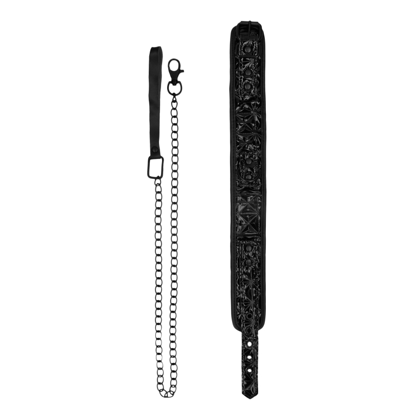collier et laisse luxury noir 2 scaled