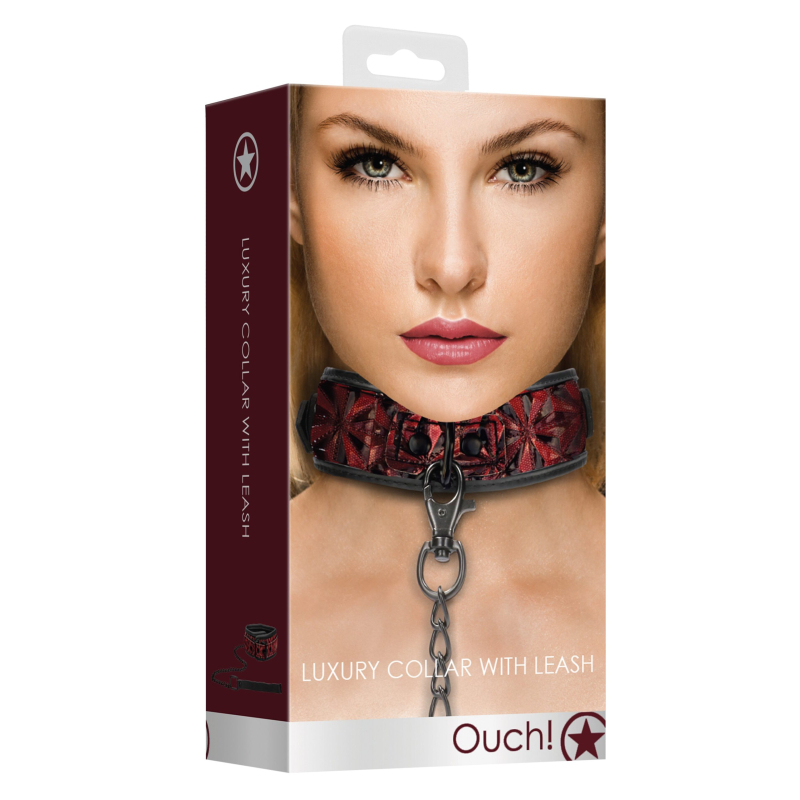 collier et laisse luxury rouge 1 scaled