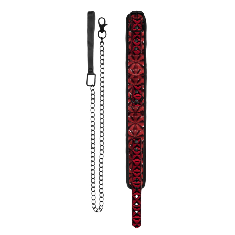 collier et laisse luxury rouge 2 scaled