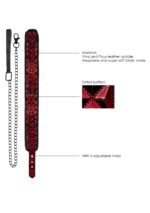 collier et laisse luxury rouge 3 scaled