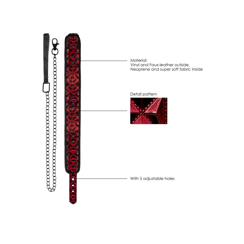 collier et laisse luxury rouge 3 scaled
