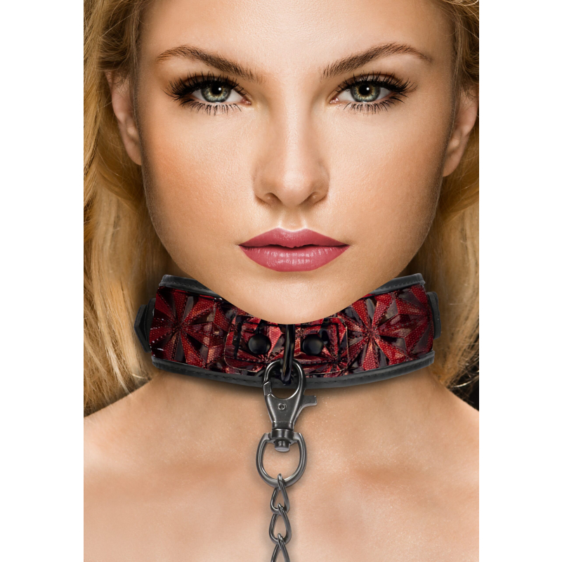 collier et laisse luxury rouge 4 scaled