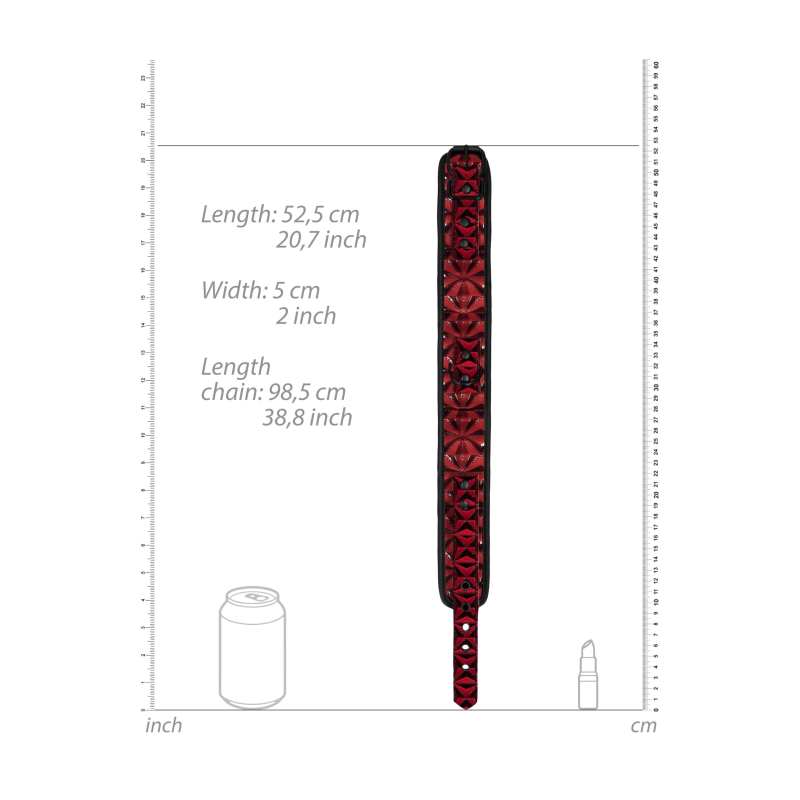 collier et laisse luxury rouge 5 scaled