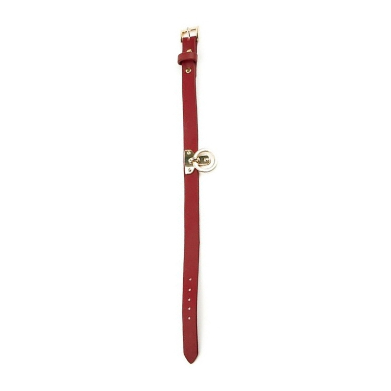 collier et laisse sclave rouge 2