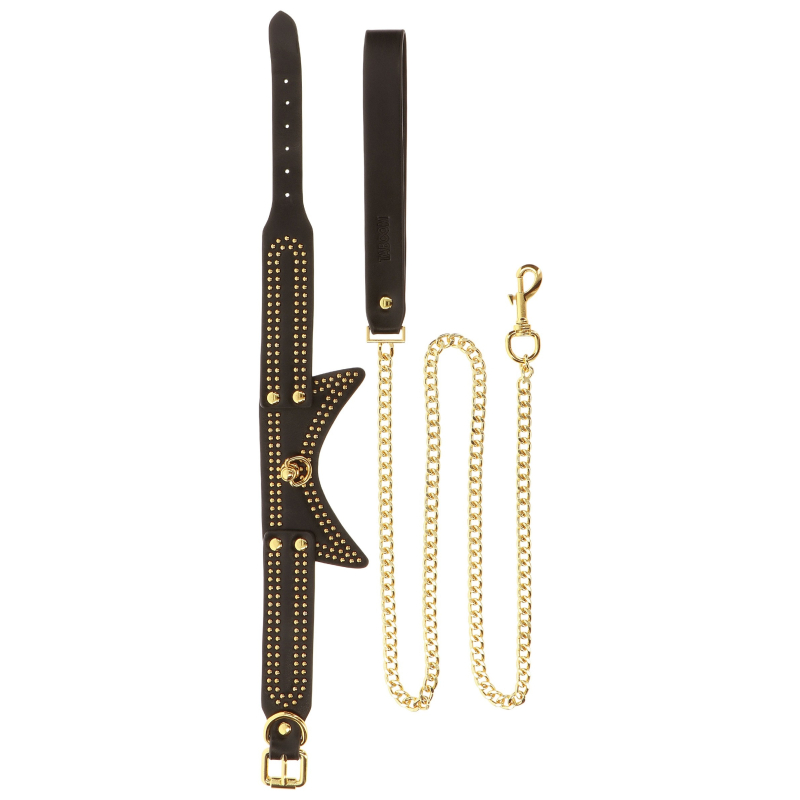 collier et laisse studded vogue noir 4