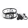 collier laisse aquax transparent 1