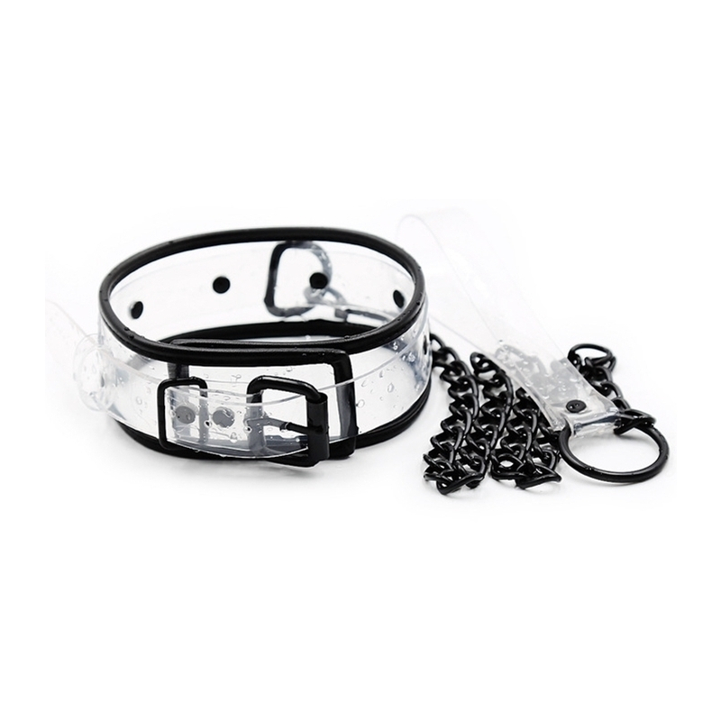 collier laisse aquax transparent 1