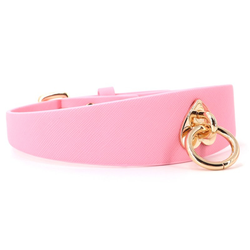 collier laisse barbing 3