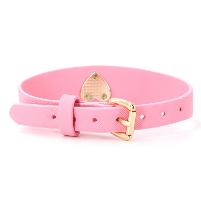 collier laisse barbing 4