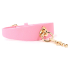 collier laisse barbing 5