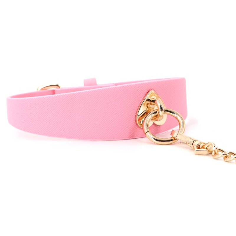 collier laisse barbing 5