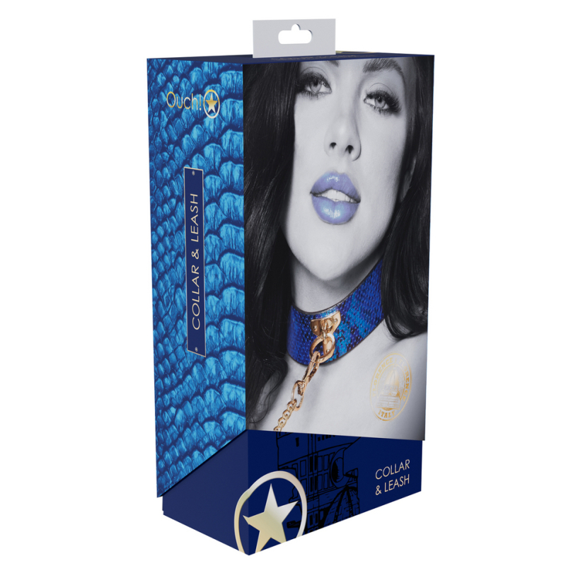 collier laisse florence bleu 1