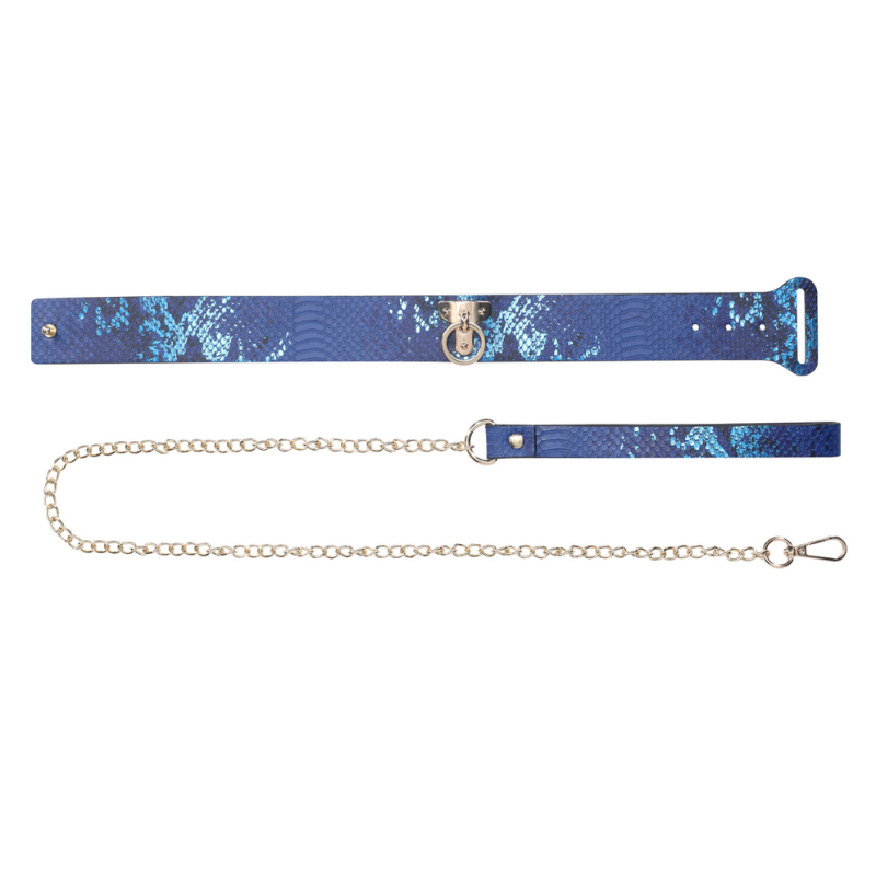 collier laisse florence bleu 2