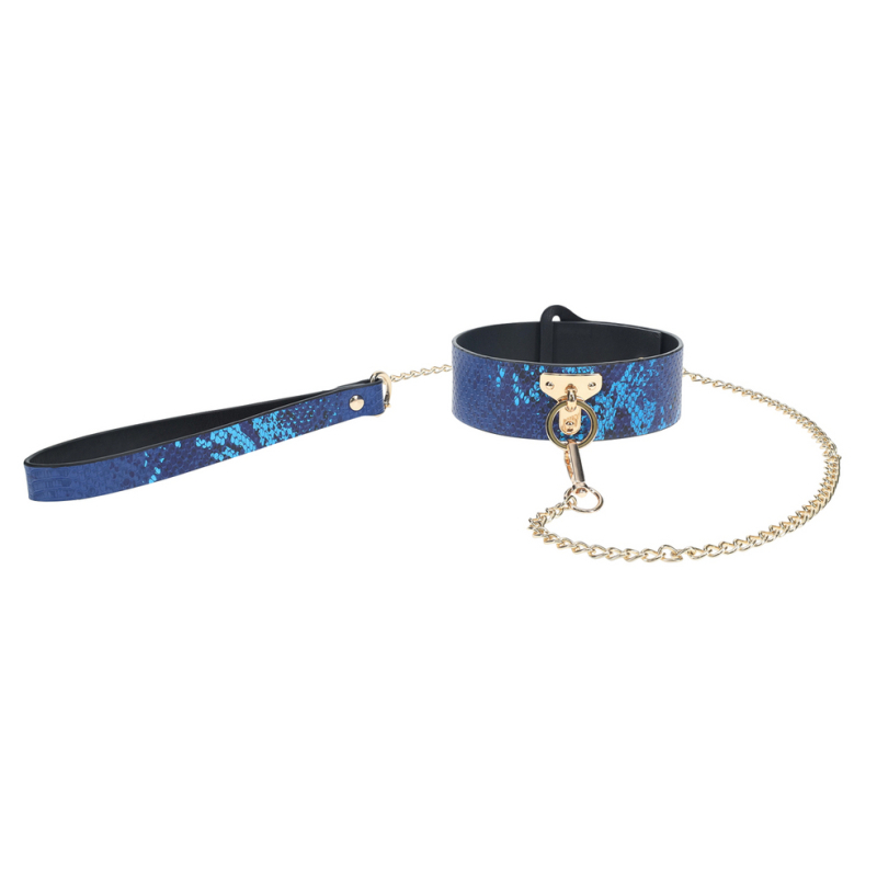 collier laisse florence bleu