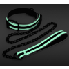 collier laisse fluorescente glo 75cm