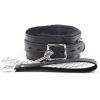 collier laisse fur noir 1