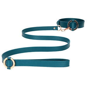 collier laisse halo col bleu