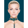 collier laisse halo col bleu 4